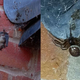 Imagen para el artículo titulado Descubren por primera vez a una araña falsa viuda negra devorando un murciélago